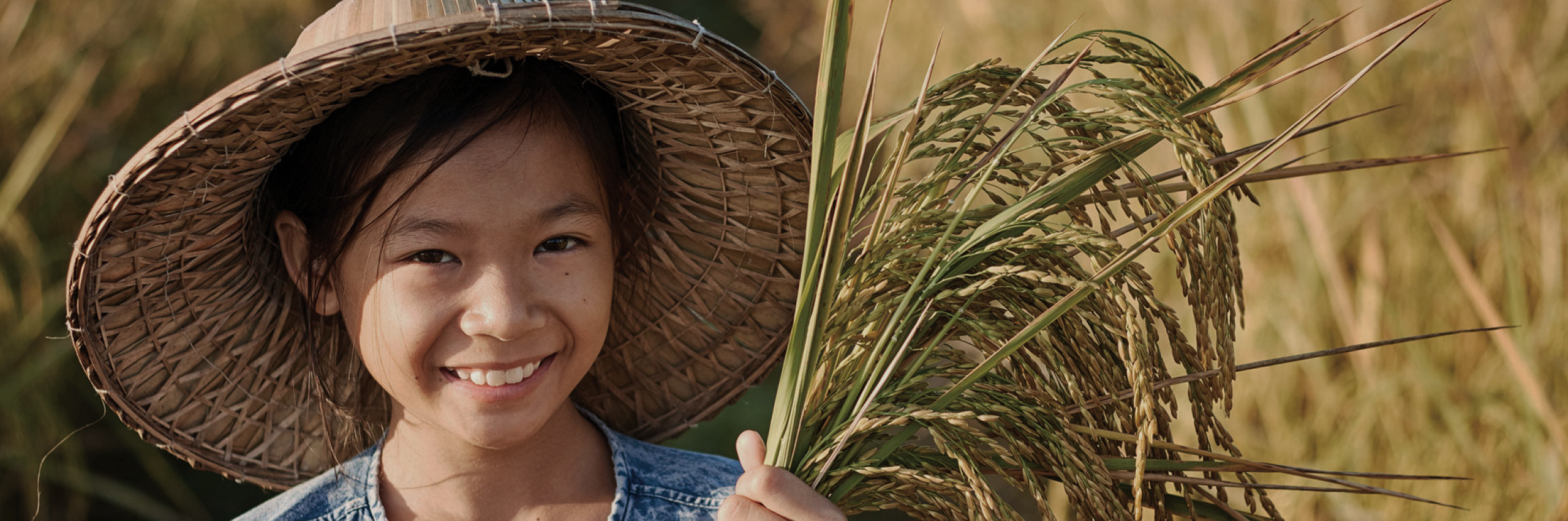 The Dariu Foundation - Header Bild- Digitale Bildung für alle - Mädchen mit Korn