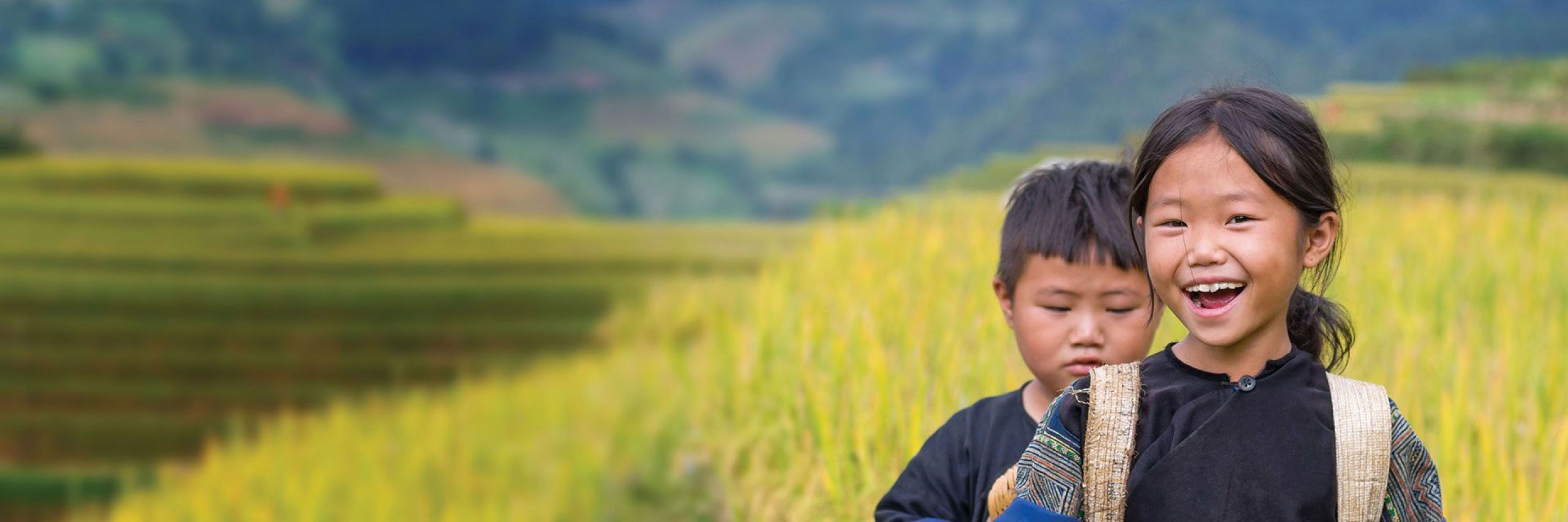 The Dariu Foundation - Header Bild- Digitale Bildung für alle - zwei Kinder im Reisfeld